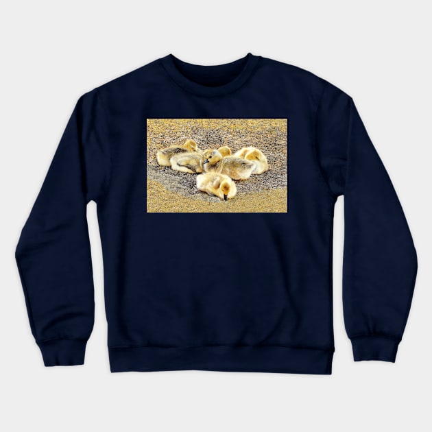 Goslings-1 Crewneck Sweatshirt by MaryLinH